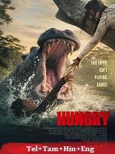 Hungry